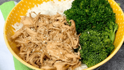 honey garlic chicken featured image